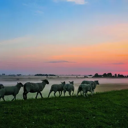 Gud Jard Nr 14 - Design-ferienhaus Mit Exklusiver Ausstattung Pellworm